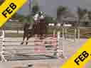 Available on DVD No.5<br>Ian Millar<br>Riding & Lecturing<br>Romanov<br>KWPN by Ahorn<br>8 yrs old<br>Training: 1.35 meters<br>Duration: 34 minutes