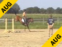 Jeroen Dubbeldam<br>Assisting<br> Dermus Kuipers<br>Querida<br>Selle Francais<br>4 yrs. old  Mare<br>Training: Training Level Novice<br>Duration: 23 minutes