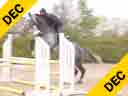 Ludger BeerbaumAssisting Jerry SmitCoco BaySelle Francais8 yrs. old GeldingTraining: 1.30 metersDuration: 27 minutes
