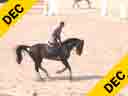 Rodrigo Pessoa<br>Riding & Lecturing<br>Joyaux<br>Selle Francais<br> 9 yrs. old Stallion<br>Duration: 27 minutes