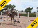 Available on DVD No.13<br>Beezie Madden<br>Riding & Lecturing<br>Danny Boy<br>by Clinton<br>Belgium Warmblood<br>7 yrs. old Gelding<br>Training: 1.35 meters<br>Duration: 29 minutes