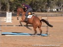 Aaron Vale<br>
Riding & Lecturing<br>
Droxello<br>
10 yrs. old<br>
Oldenburg<br>
Training: Grand Prix Level<br>
Duration: 7 minutes