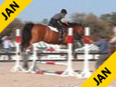Aaron Vale
Riding & Lecturing
Verdi
8 yrs. old Belgium WarmBlood
Training: Speed Class 1.35 meters
Duration: 11 minutes