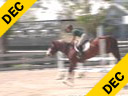 Beezie Madden<br>
Riding & Lecturing<br>
Conquest<br>
15 yrs. old Stallion<br>
KWPN<br>
Training: 1.5 meters<br>
Duration: 23 minutes