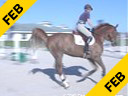 Beezie Madden
Riding & Lecturing
De Silvio
KWPN
11 yrs. old Gelding
Training: GP level
Duration: 27 minutes