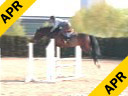 Ludger BeerbaumDay 2
Riding & Lecturing
All Inclusive
7 yrs.old  Gelding
Training: 1.60 meter
Duration: 38 minutes