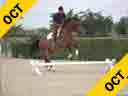 Scott Stewart<br>Riding & Lecturing<br>Sporting Life<br>Bavarian Warmblood<br>5 yrs. old Gelding<br>Training: Pre-Green<br>Duration: 28 minutes