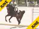 Louise SerioRiding & LecturingTrue Grantowned by Ashley HotzGerman Warmblood14 yrs. oldTraining: Junior HuntersDuration: 27 minutes