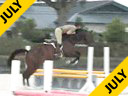 Geoff Teall<br>Riding & Lecturing<br>Candy Man<br>Oldenburg <br>7 yrs. old Gelding<br>Training Green Hunter<br>Duration: 32 minutes