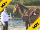 Alois Pollmann-Schweckhorst<br>
Riding & Lecturing<br>
Mary Poppins<br>
7 yrs. old Mare<br>
Training: Training Level<br>
Duration: 15 minutes