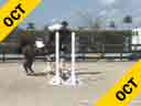 Geoff Teall
Riding & Lecturing
Fiorello
Hanoverian
15 yrs. old Gelding
Training: Adult Hunter
Owner: Pat Fulchine
Duration: 24 minutes
