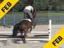 Aaron Vale<br>
Teaching a Horse to<br>
Jump Straight<br>
Riding & Lecturing<br>
Smartie<br>
Warmblood<br>
10 yrs. old Gelding<br>
Training: 1.50 GP<br>
Owned by:<br>
Aaron Vale/DaSilva Investments<br>
Duration: 20 minutes

