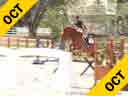 Ian Millar<br>Riding & lecturing<br> No Mercy<br> 11 yrs. old Dutch Mare<br>& Assisting<br>Amy Millar<br>Riding Mon Pleasure<br>Jonathan Millar<br>Riding Farenheit<br>Duration: 37 minutes