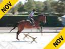 Sandy Ferrell<br>Riding & Lecturing<br>Echo Bay<br>Thoroughbred Gelding<br>7 yrs. old<br>Training: 3'3"<br>Duration: 21 minutes
