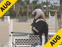 Louise Serio<br>Assisting<br>Amanda Lyerly<br>Aberdini<br>KWPN 6 yrs. old<br>Training:Equitation<br>Duration: 22 minutes