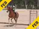 Available on DVD No.5<br>Louise Serio<br>Riding & Lecturing<br>Reese<br>Owner: Shaw Johnson Price<br>10 yrs. old<br>Training: Amateur Hunter<br>Duration: 26 minutes