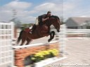 Rick Fancher<br>Riding & Lecturing<br>Cross Roads<br> KWPN<br>6 yrs. old Gelding<br>Training: Green Hunters<br>Owner: Mare Jane King<br>Duration: 17 minutes