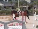 Available on DVD No.6Louise SerioRiding and LecturingSo You SayKWPN 6 yr. oldTraining: Green HunterDuration: 21 minutes