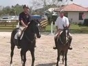 Available on DVD No.4<br>Ian Millar &<br>Jonathan Millar<br>Riding & Lecturing<br>Schooling Over Jumps<br>Vasco & Primera<br>Wellington Florida<br>Duration: 30 minutes