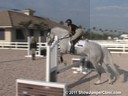 Callan Solem<br>
Riding & Lecturing<br>
Magic Cruise<br>
Salle Francaise<br>
11 yrs. old Mare<br>
Training: 1.50 meters<br>
Owner: Shoe Trail Farm<br>
Duration: 20 minutes