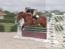 Rick Fancher<br>Riding & Lecturing<br>Torch Song<br>Owner: Mary Jane King<br>KWPN<br>7 yrs. old Mare<br>Training: 1st Year Green<br>Duration: 11 minutes